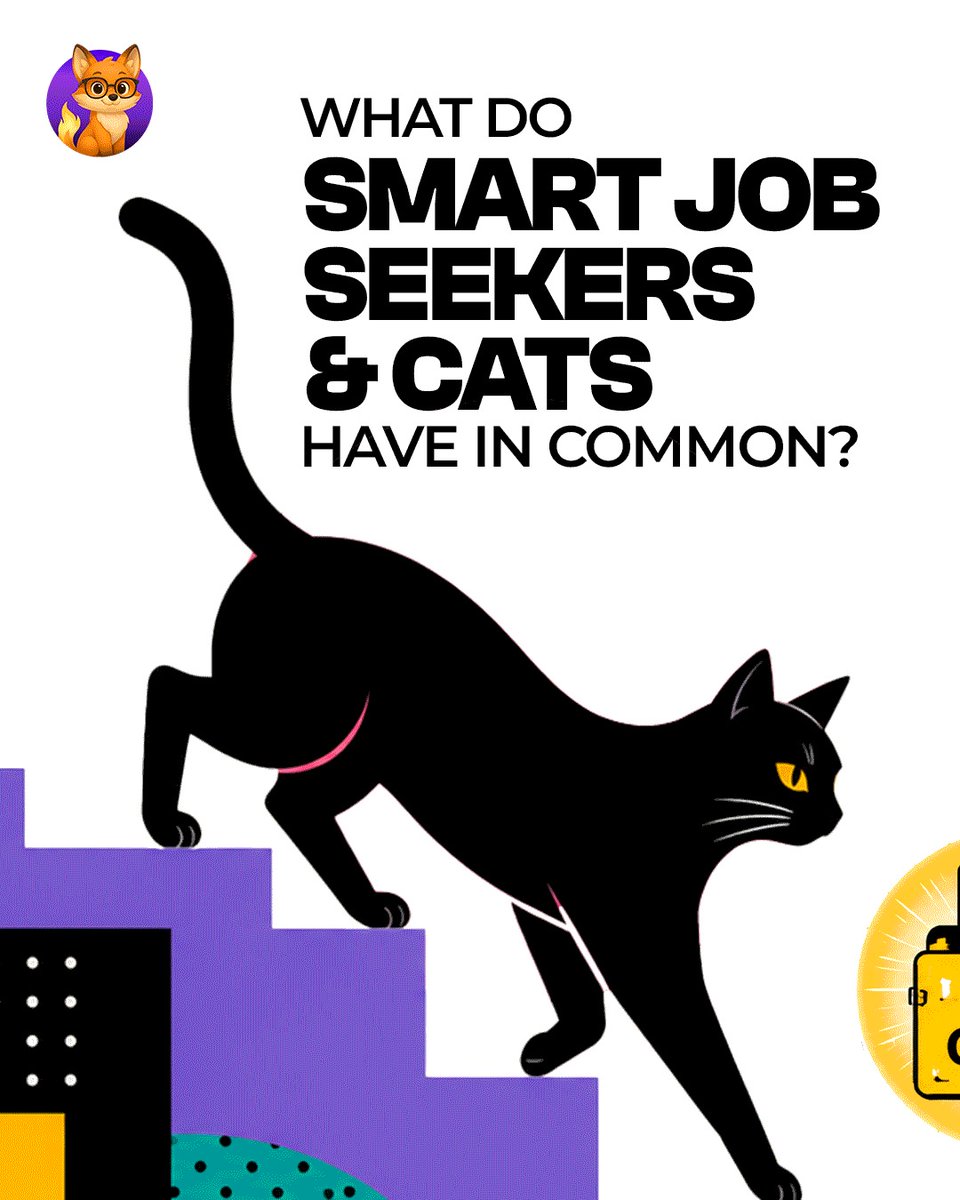 skillresy's tweet photo. Smart job seekers and cats have more in common than you might think. 🐱✨

In a job market full of ATS filters, generic spam listings, and ghosting, spraying 200 generic resumes won't get you hired. You need precision: https://t.co/qoXSPE6foJ