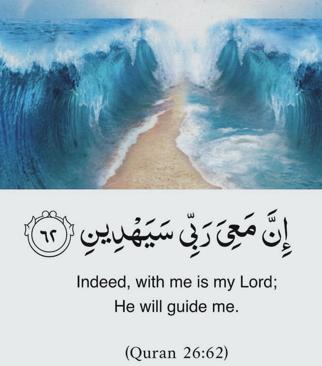 Oummahnoor's tweet photo. My perfect rabb https://t.co/3LlmSqabrA