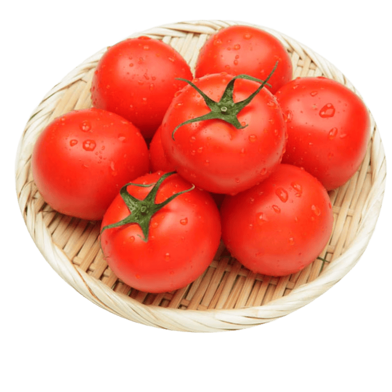 jayveereyes13's tweet photo. Just tried the latest batch of organic cherry tomatoes—juicy, sweet, and packed with flavor, no watery aftertaste at all! A perfect snack or salad add-on. ， https://t.co/fWW5eYKEhE