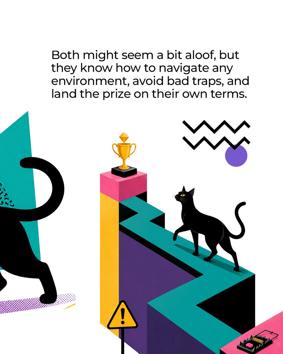 skillresy's tweet photo. 🐾 Outsmart the job market with SkillResy. → https://t.co/eJTHNfcK1f
#jobseeker #cats #unemployed #skillresy #animallovers https://t.co/aaMXHIpqWP