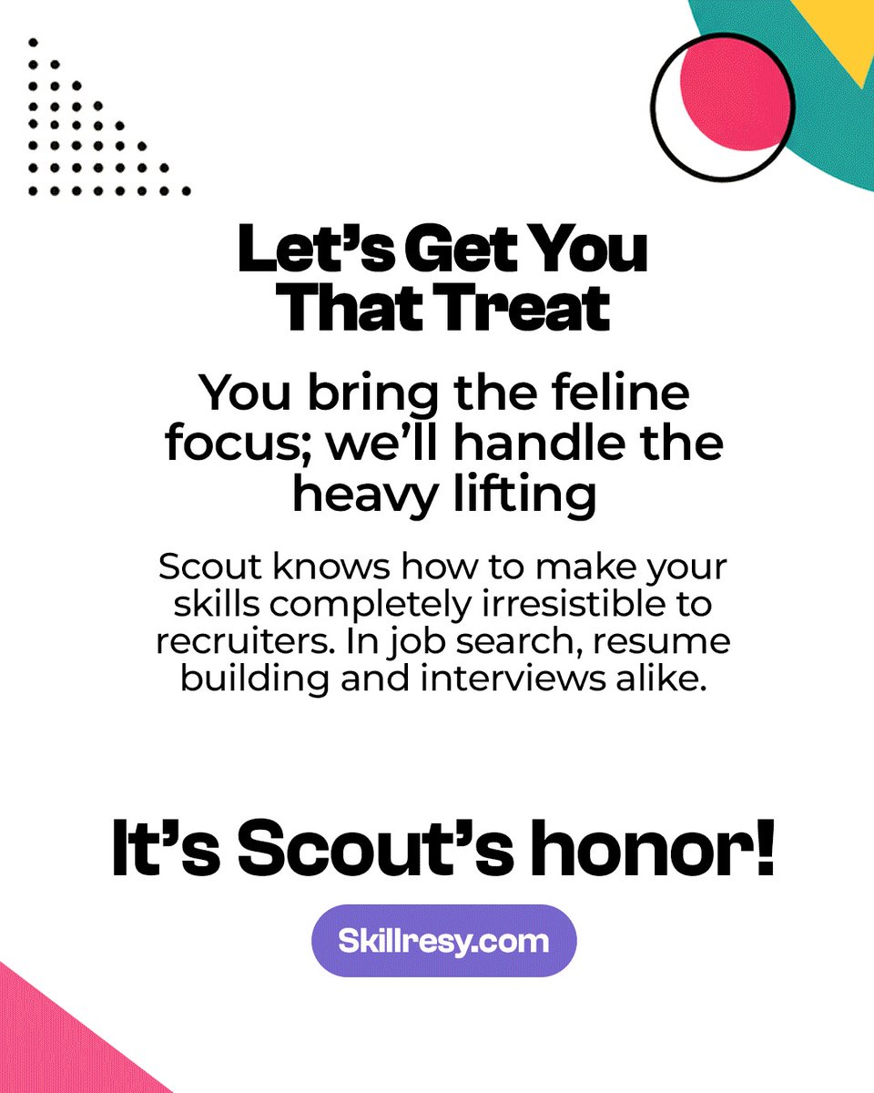 skillresy's tweet photo. 🐾 Outsmart the job market with SkillResy. → https://t.co/eJTHNfcK1f
#jobseeker #cats #unemployed #skillresy #animallovers https://t.co/aaMXHIpqWP