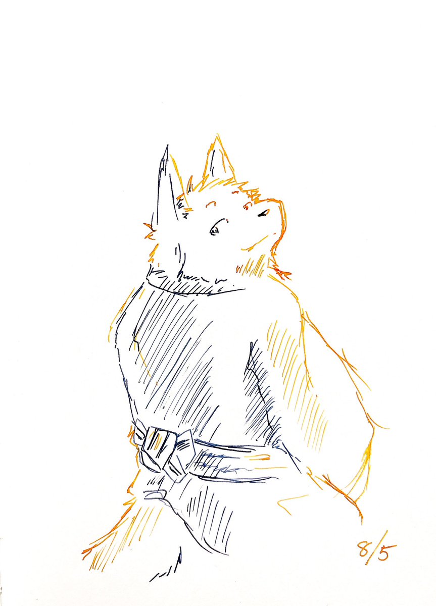 tottooyo's tweet photo. 『今年も一緒に見れて良かったね』 https://t.co/MWcf8wv8jQ