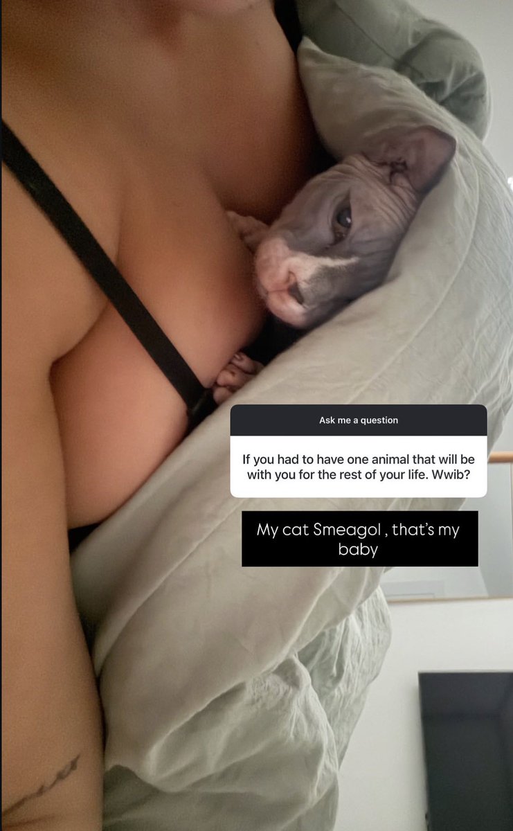 Mistresssahlt's tweet photo. 🛒 clear my cart https://t.co/EZ3k3Bne5v