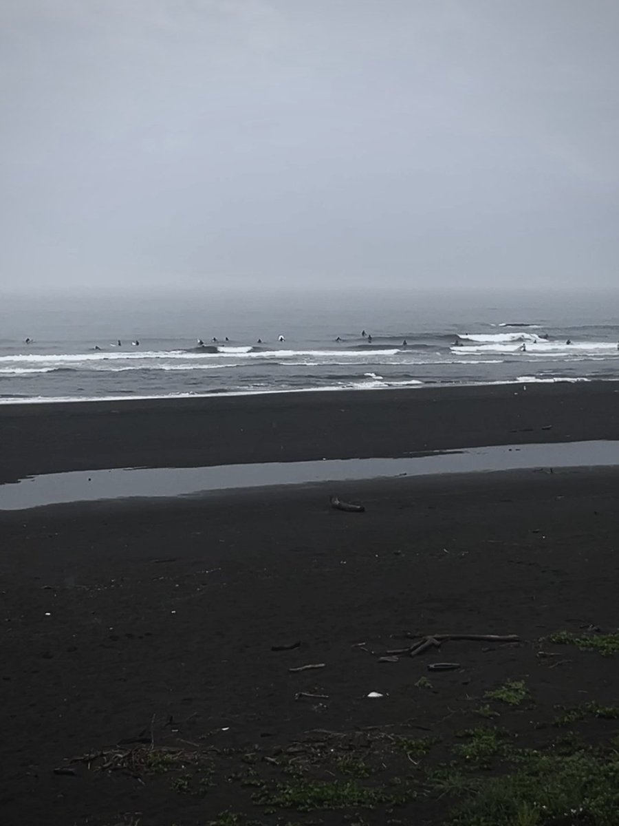 Printczc's tweet photo. サーフィンの雰囲気がとてもいい🏄‍♂️ https://t.co/dgRR66jBXn