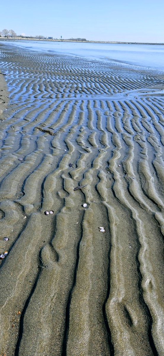LindaPeters64's tweet photo. Sand between my toes, always takes away my woes...
Share your #Top4Sand ๐ธ
Tag #Top4Theme host:
@obligatraveler https://t.co/YRibvl5lAV
