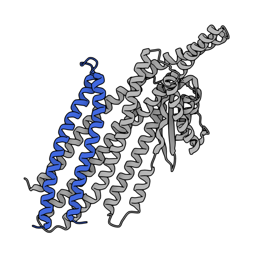 compchemm's tweet photo. isn't that crazy! 2000 binders with Average_dG(rosetta) Lower than -100. Some uniprot ids; https://t.co/Xlm4avLWyV
https://t.co/7YqiRfbZak
https://t.co/4XgnpClSJr https://t.co/zFEnrJu2AL