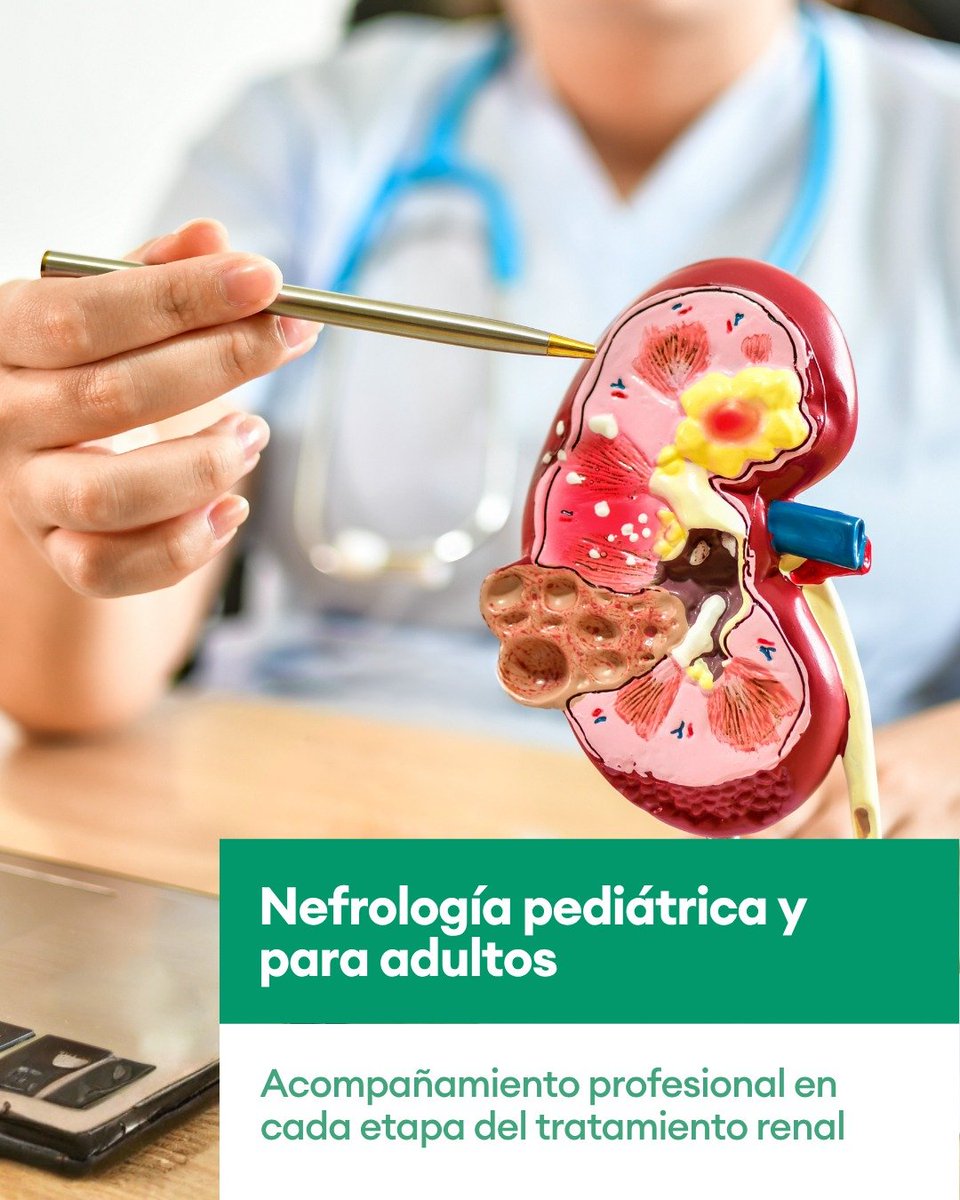 ITACargentina's tweet photo. En #ITAC llevamos adelante el diagnóstico, tratamiento y seguimiento de las afecciones renales, siempre con la mirada puesta en el bienestar integral de cada paciente 💚 https://t.co/zFor4lnZMz