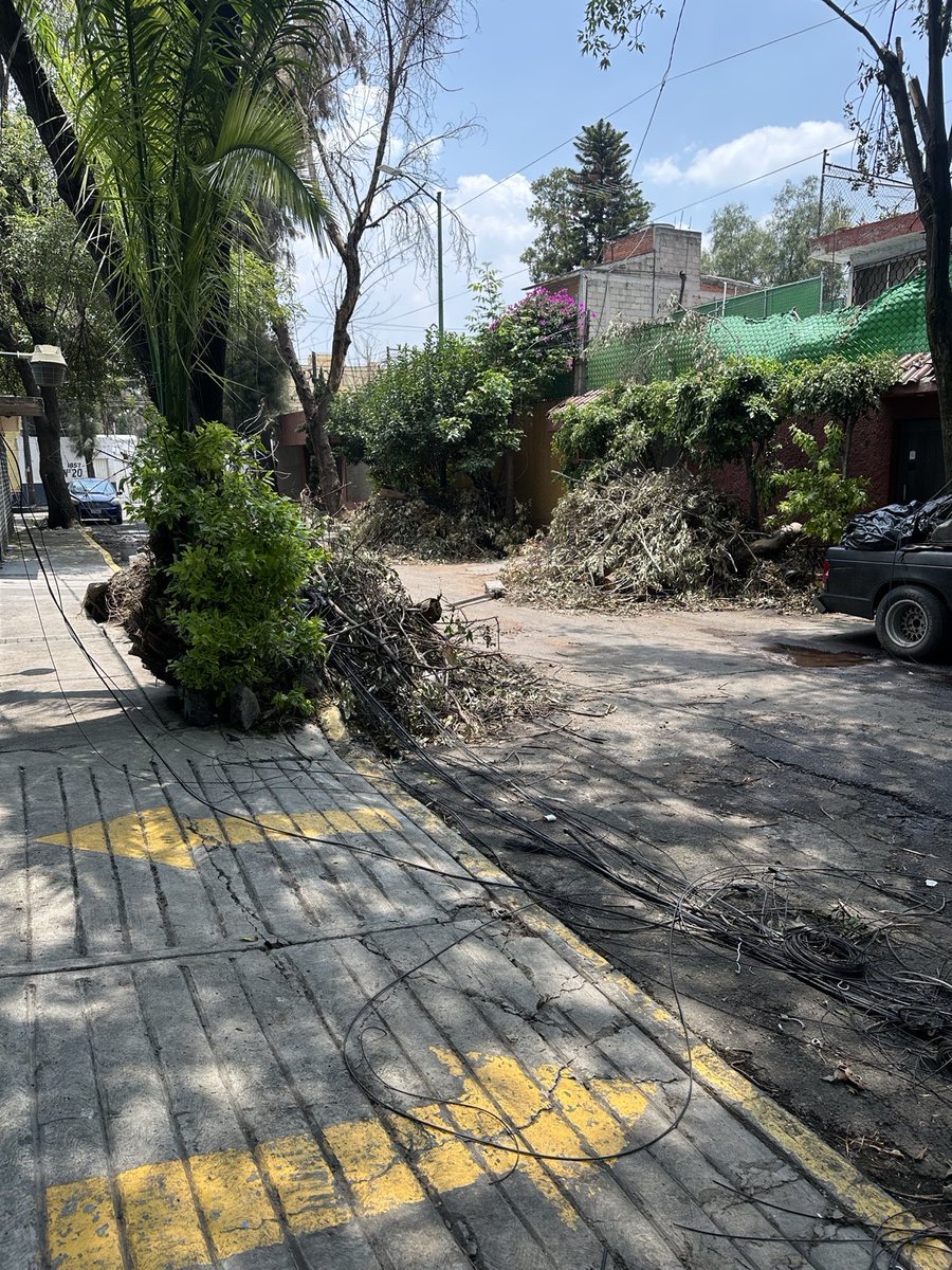 eduardo70462452's tweet photo. Hola buen día @yancolozano ya se solicito el reporte en el SUAC con número 2608054525854 se cita copia a @TuAlcaldiaGAM , @GobCDMX para su control. https://t.co/r4lrhwSkND