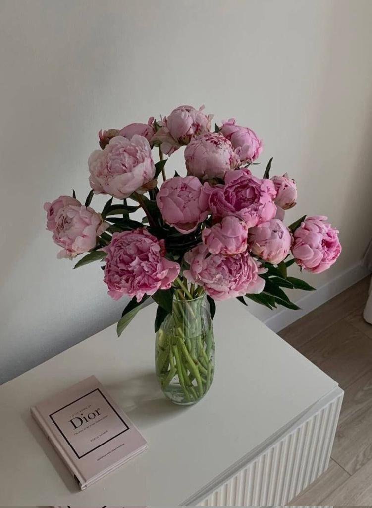 phollukidukaan's tweet photo. Peonies or Lilies https://t.co/rPkZNyMqcD