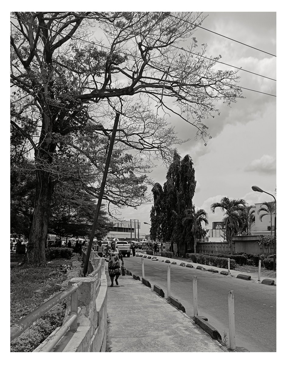 PlatoVisuals's tweet photo. 4 Frames that speaks 🗣️
A Day in my Life as a Photographer in Ibadan 📸
#ibadan #ibadanphotography #UI #photography #Exploreibadan #Lifestylephotography https://t.co/JIIurFtPGy