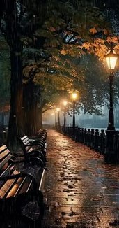 sharywien's tweet photo. Can't stop thinking about Amsterdam. — Huyền C. Chu https://t.co/DFlsSLRAX3