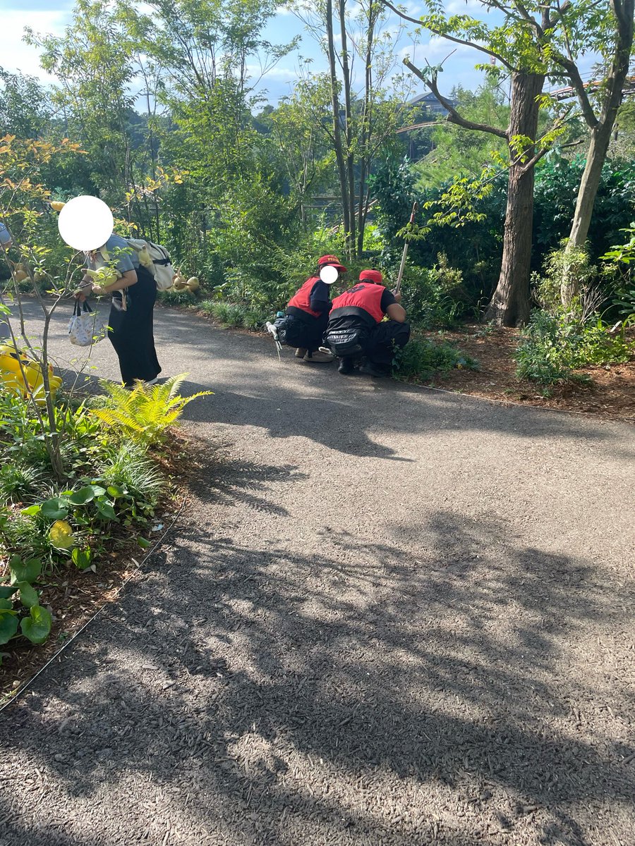 morobito54rite's tweet photo. フォレストでポケモンレンジャーたちがしゃがみこんでて、何してるのかなーって眺めてたら、ピカチュウの健康状態チェックしてた(二人でピカチュウのこと撫でてた) https://t.co/XhEpstQl77