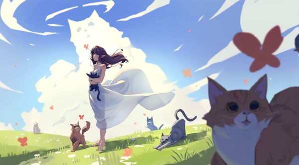 happyseaa's tweet photo. Public keys allow crypto transfers, while private keys ensure access. https://t.co/KBwLUVu8AG