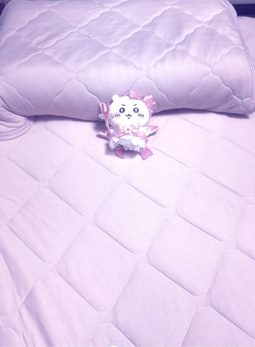 meruto_usa's tweet photo. ちぃちゃん https://t.co/fXGR7NCa2h