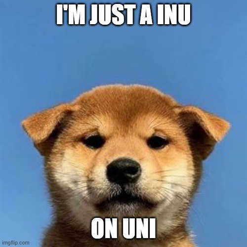 dumppguy's tweet photo. @INU_onUNI I'm just a INU on UNI https://t.co/E2SC7cxWaY