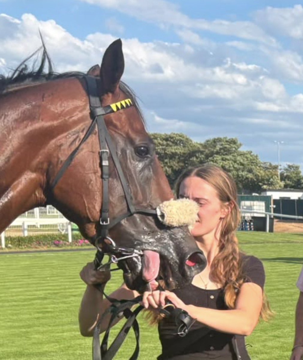 dylancunha_uk's tweet photo. Luminous Warrior happy with himself after winning again today 🥇 🥇 🥇 https://t.co/ev8pFih1ta