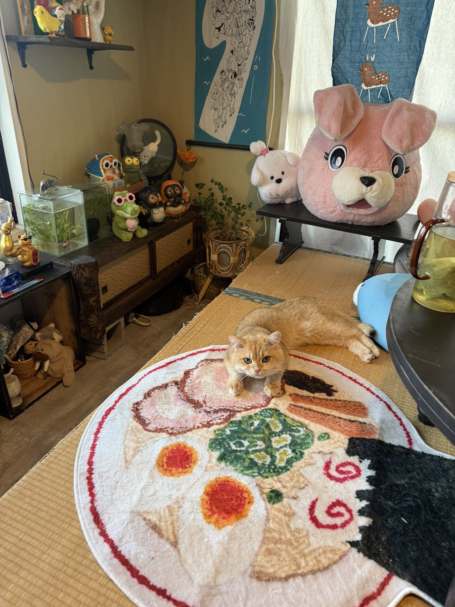 yasai_oishi_zo's tweet photo. 肉太郎、チャーシューぎゅっとしてる可愛い https://t.co/seVf6W4Cey
