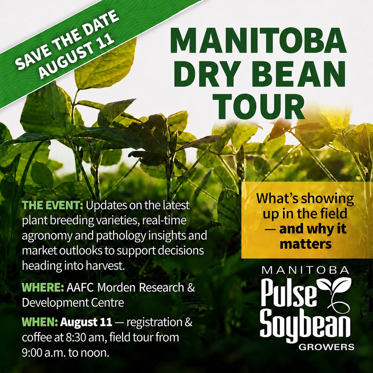 MbPulseGrowers's tweet photo. 🌱 Next week is the Manitoba Dry Bean Tour 🌱

Join us for the Manitoba Dry Bean Tour at the AAFC Morden Research & Development Centre for a morning packed with the latest insights to help you prepare for harvest.

🚜 Learn about:
🫘 New dry bean breeding varieties
🌿 Real-time agronomy and pathology updates
📈 Market outlooks and what they mean for your operation

📍 Where: AAFC Morden Research & Development Centre
🗓️ When: August 11
☕ Registration & coffee: 8:30 a.m.
🌱 Field tour: 9:00 a.m. – Noon

See what’s showing up in the field—and why it matters.

#ManitobaDryBeanTour #DryBeans #Agronomy #PulseCrops #ManitobaAgriculture #FieldTour #HarvestReady #AAFC #MPSG #GrowingKnowledge