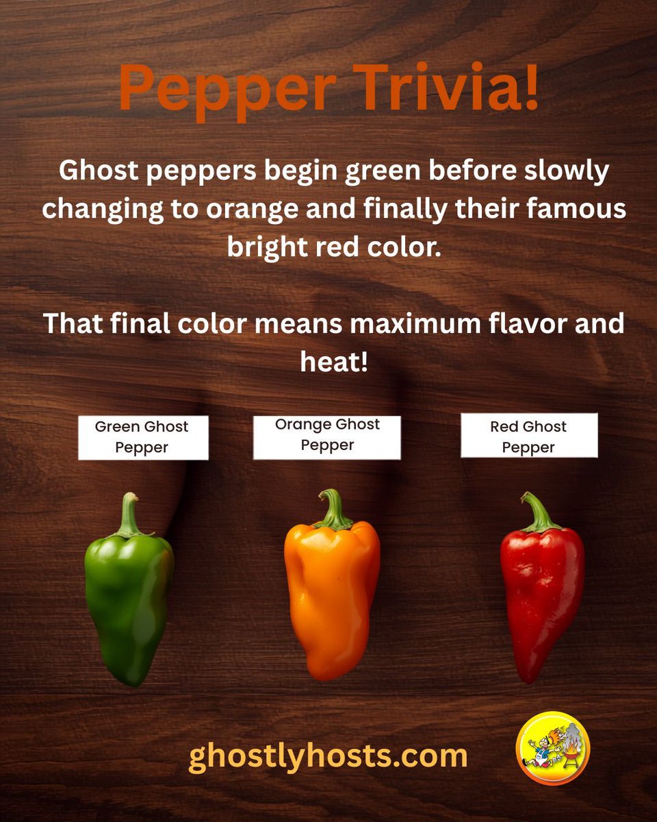 GhostlyHots's tweet photo. 🧠 Pepper Trivia!

Ghost peppers begin green before slowly changing to orange and finally their famous bright red color. That final color means maximum flavor and heat! Nature takes its time creating something extraordinary.

#PepperFacts #GhostPepper #chili #wings #GhostlyHots https://t.co/p34cSlPpO0