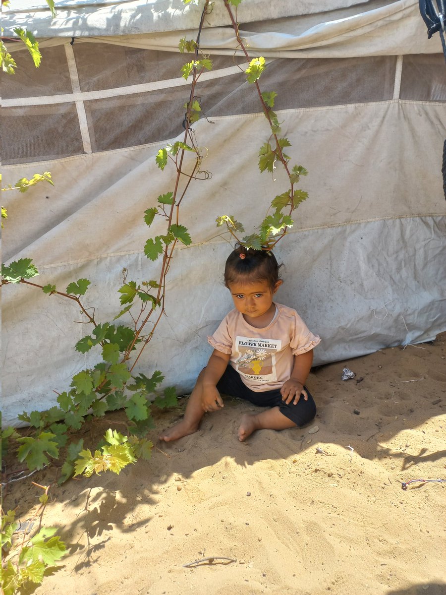 Laiesea's tweet photo. Your support is more than just help—it is hope that changes lives. Every contribution helps us keep going and continue our mission. Thank you to everyone who stands by us and makes a real difference.
https://t.co/DUNXiKzqTM https://t.co/c2U0IFlSIh