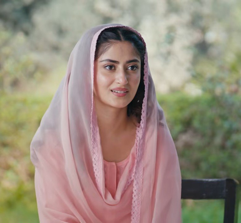 noonnchailant's tweet photo. Rabiya wearing pink is the real panoti y'all 😭
#zanjeerain #sarbiya https://t.co/hJi0UcK7qe