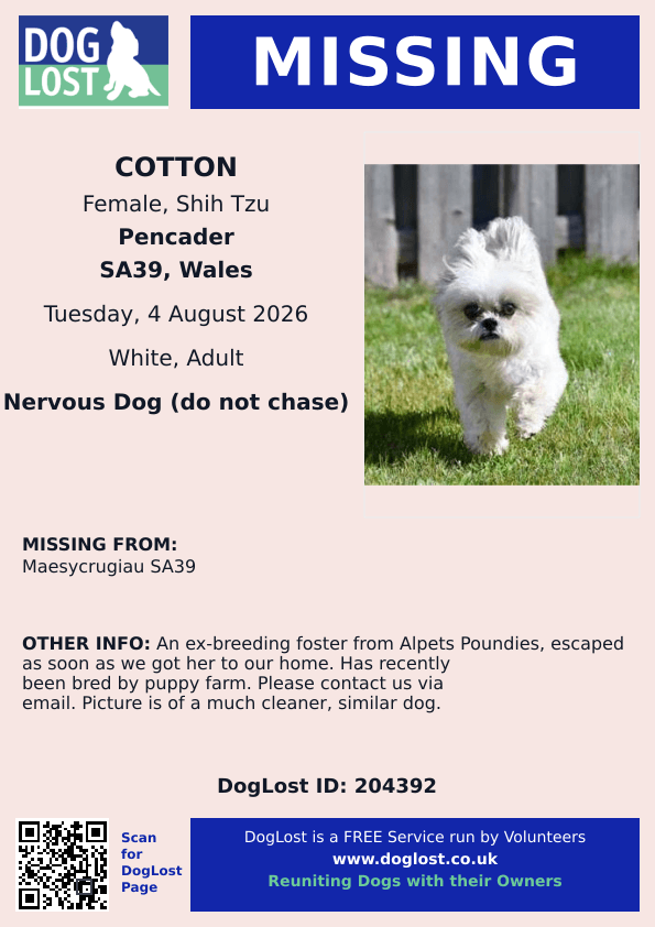 millypod1's tweet photo. ๐4 AUG 2026 #Lost Cotton #ScanMe
Shih Tzu Female Nervous Dog (do not chase)
#Maesycrugiau area #SA39
County #Pencader #Carmarthenshire #Wales
https://t.co/hN1NuGSfFs https://t.co/f0JLoulLqL