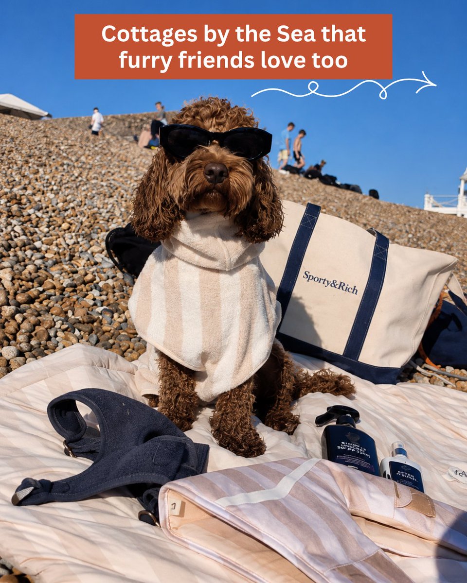 SnaptripUK's tweet photo. Some beach days are even better with four paws by your side. 🐶🌊
From harbour views to coastal walks, these dog-friendly stays are perfect for your next seaside escape together.
Which one are you and your pup checking into first? 🧡🐾
#SnapTrip #UKStaycation #SeasideEscape https://t.co/BUablS7dtg
