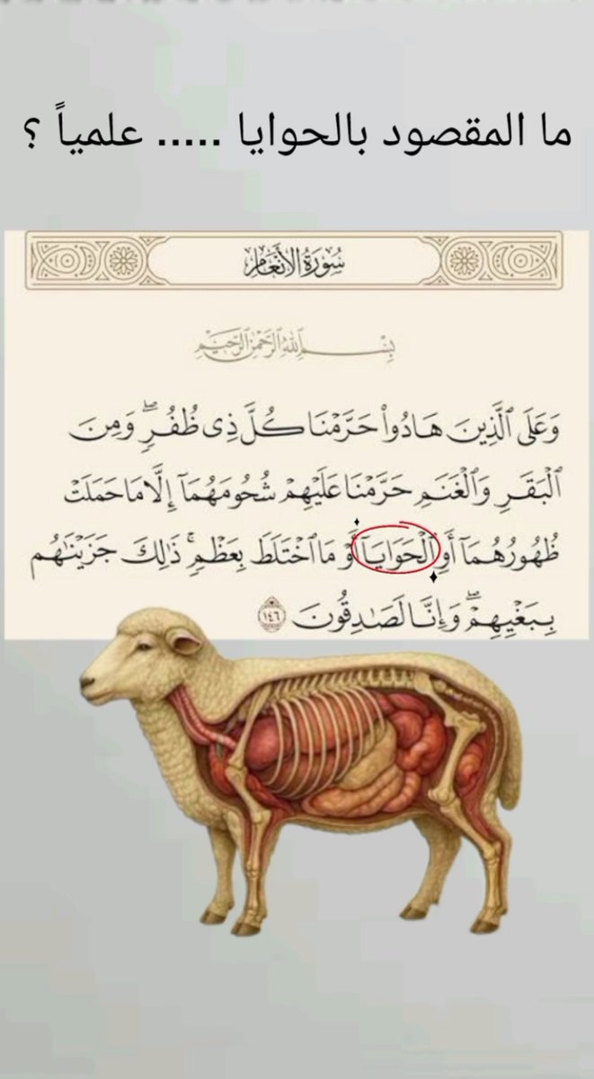 Quran400's tweet photo. مالمقصود بالحوايا ..علميأً https://t.co/DN9I6w0L1a