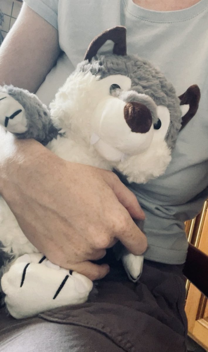 Naho_May's tweet photo. Spending everywhere except lads but at least i have a Little Wolf at home now ❤️‍🩹

#全世界都爱教尹 #bringbackvalko https://t.co/m3lcOxZk0k