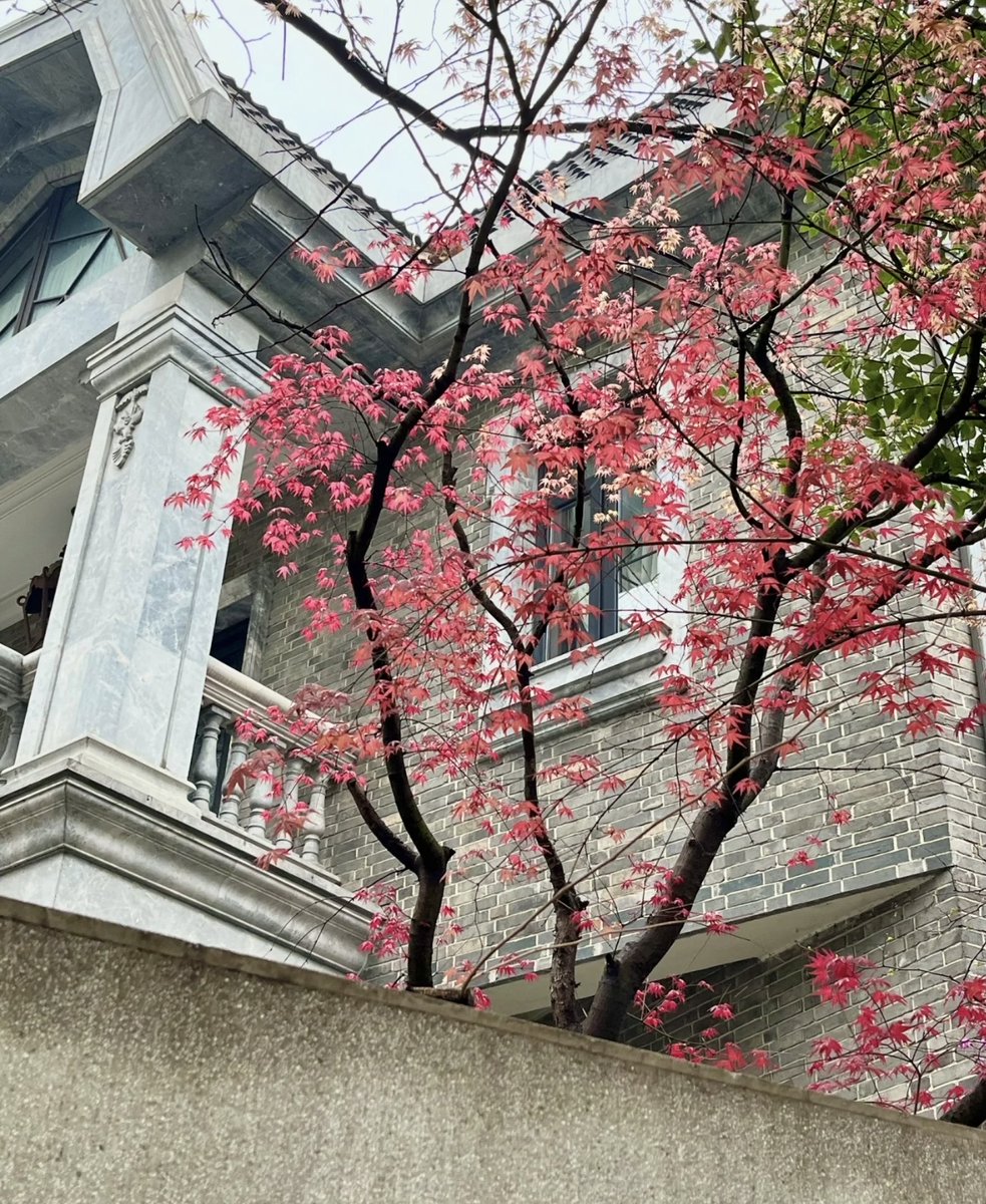 MommaChar4's tweet photo. A stranger held the door for me in the heavy rain today and slipped a warm handwritten note saying "You’ve got this" in my bag—small kindness that turned my whole hard day around. It’s the little things, right ， https://t.co/B4QRU0JsWg