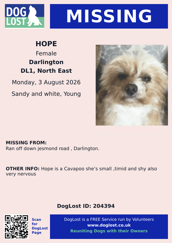 millypod1's tweet photo. 🆘3 AUG 2026 #Lost Hope #ScanMe
Small Cavapoo Female
Ran off down Jesmond Road #Darlington #DL1
#CountyDurham
Hope is a Cavapoo she’s small, timid and shy also very nervous
https://t.co/xcon87Wwk3 https://t.co/zhTIGZ2ILG