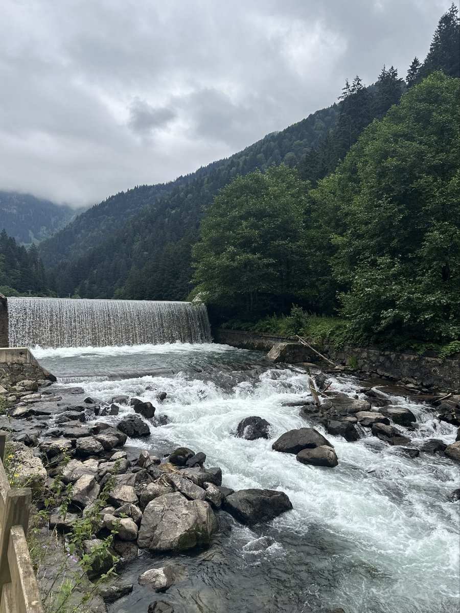 _jana_1__'s tweet photo. Uzungöl,Trabzon🤩 https://t.co/riOc7cX53W