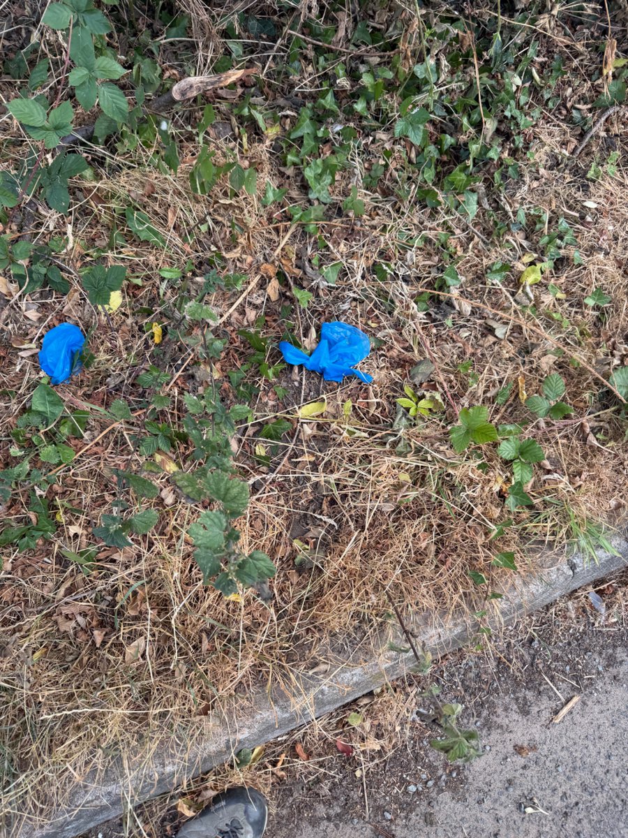 CarryonTouring_'s tweet photo. This is not very nice, used surgical gloves blowing about on a public footpath. @careuk are you going to sort this out? 
Mount Pleasant care home. I think the skip may need emptying. https://t.co/2sepk2d2IF