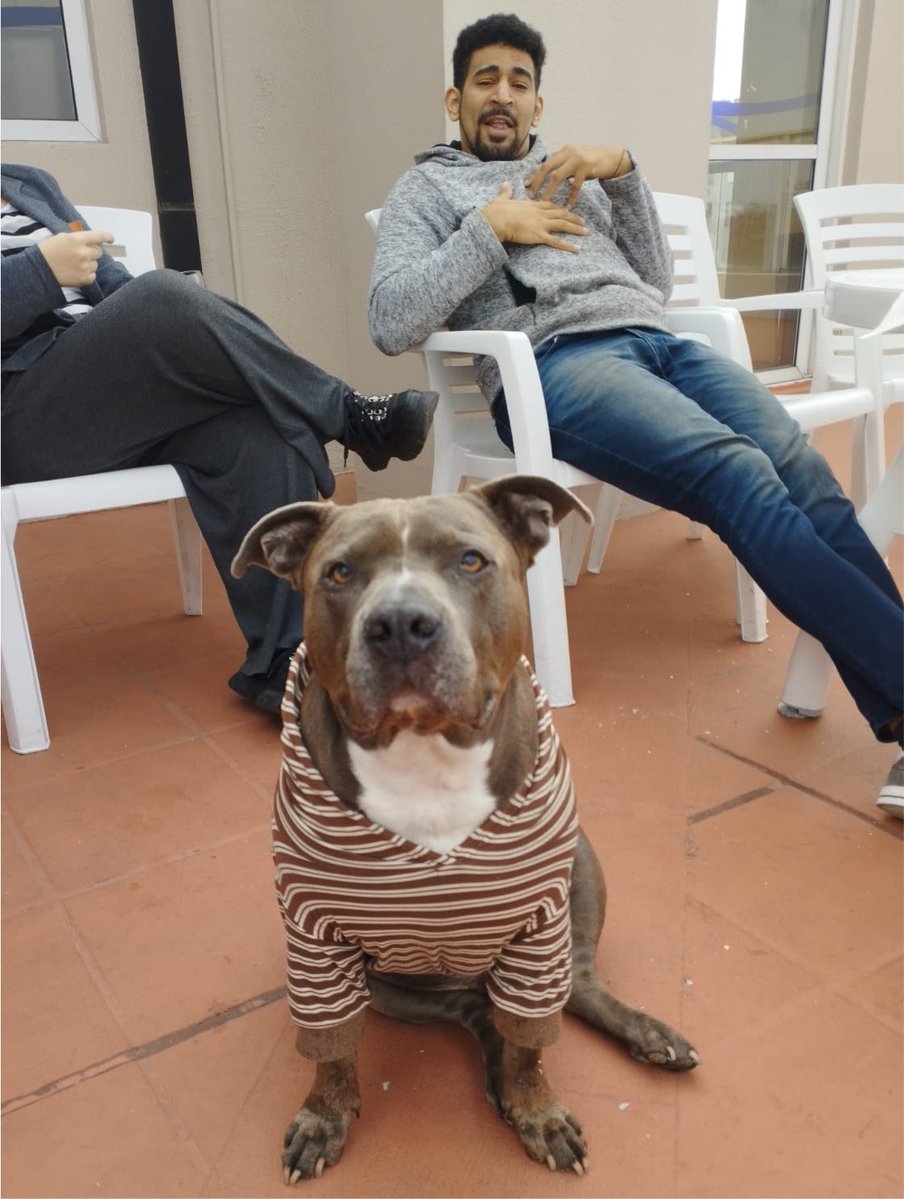 NegroCensurado's tweet photo. Muchachos sé que acá me leen muchos amantes de los perros. Guga es el perrazo de una amiga y necesita una operación de columna. Cualquier aporte será bienvenido. 

@KarenReichardt1 https://t.co/N2LQVMxy3h