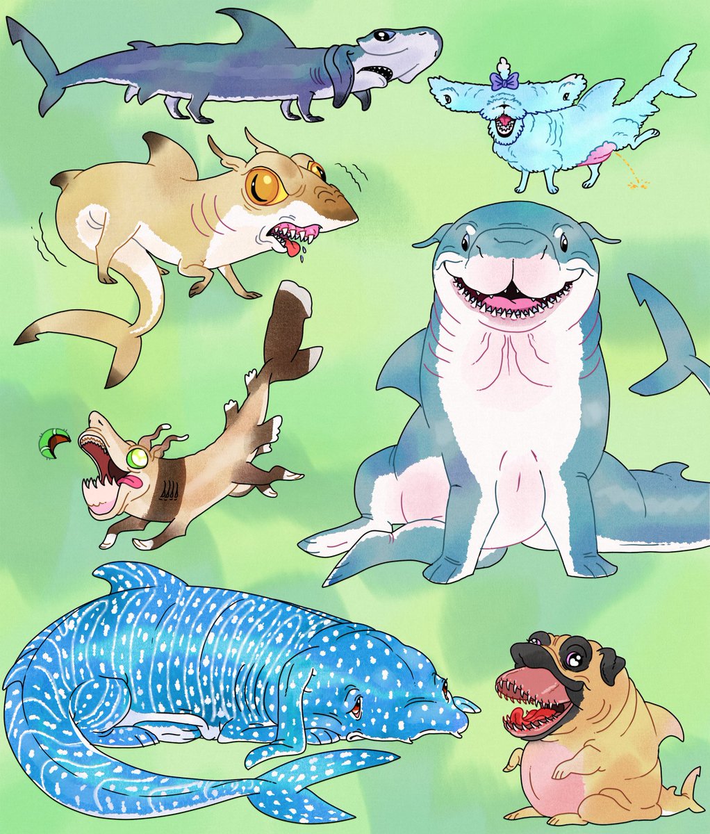itslittletunny's tweet photo. did you just dog-ify my sharks???! https://t.co/tkyATrHsxN