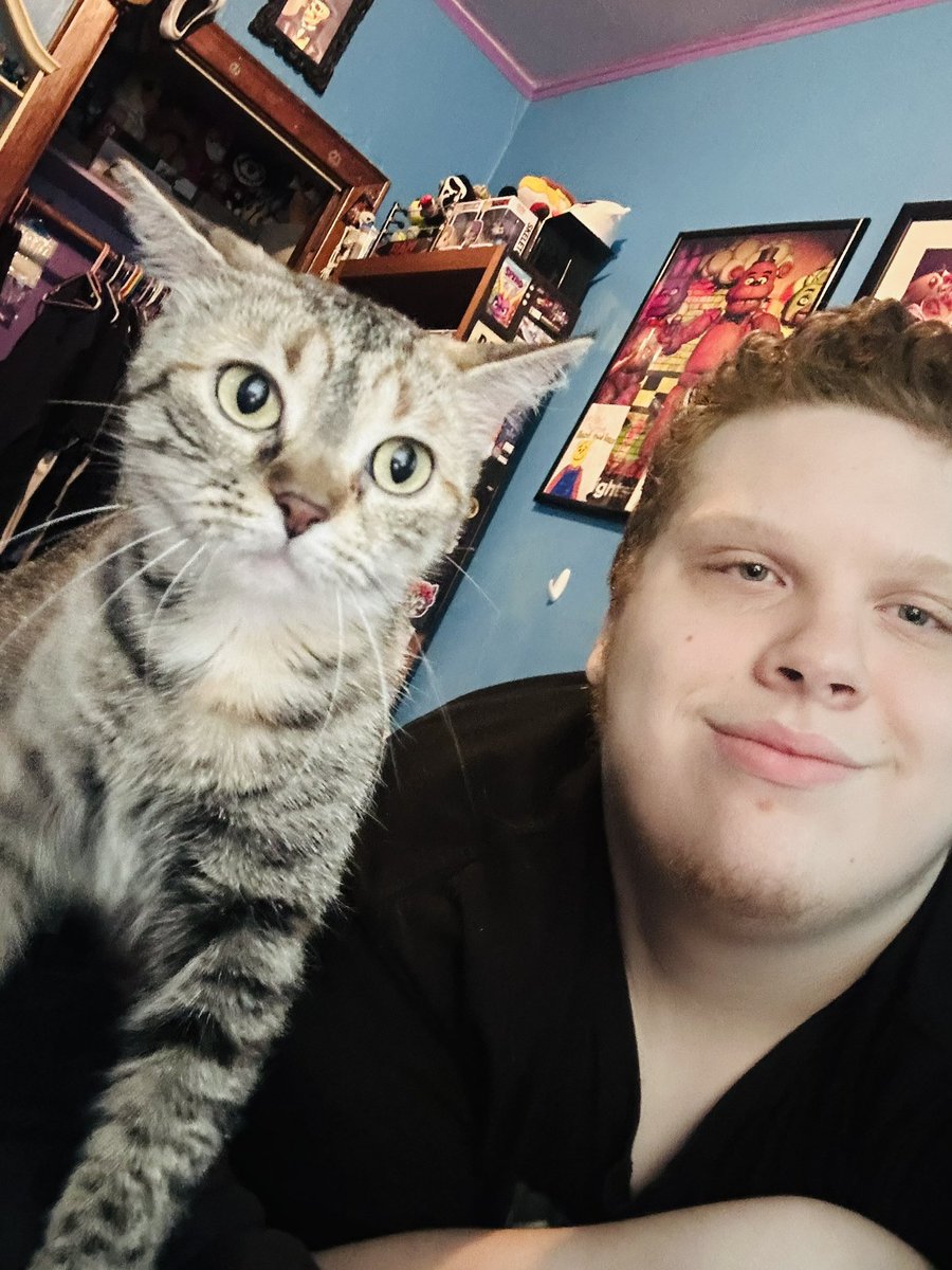 RealAbraham_11's tweet photo. Larpppp #CatPost #CatLover #Fyp https://t.co/nfCqeI79JN