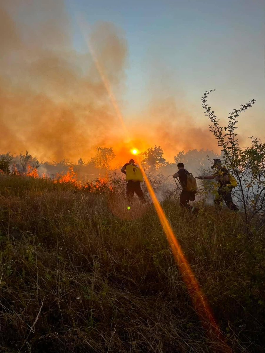 Zablokadu's tweet photo. Oko 100 hektara izgorele zemlje, prema satelitskim snimcima. Područje koje se u velikoj meri poklapa sa zonom istražnih radova kod Zaječara. Slučajnost ili ne?
#SrbijaUzZaječar https://t.co/BLRgcmrFtX