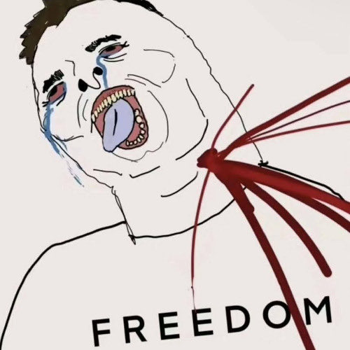 priviledgedmail's tweet photo. @ThomPrdt @n3diO @LizardOfOz20 @MakiTheSalafi https://t.co/YSTBR1IUQv