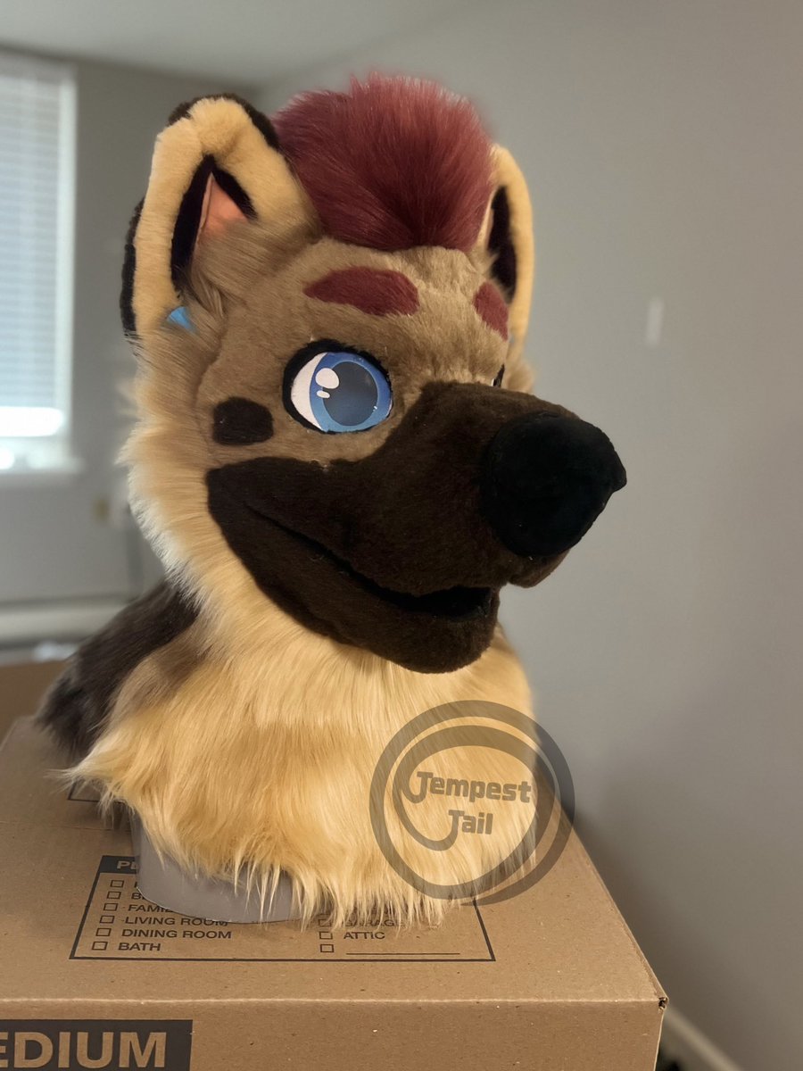 TempestTail's tweet photo. I completed my first commission. Introducing Raimi the German Shepherd. For @fizzyteefs. Im very excited to deliver this guy at #furrydelphia this year. I would also like to announce the launch of my official fursuit business page! Check out my linktree in my bio for more! https://t.co/Q3ZHOBbjLe