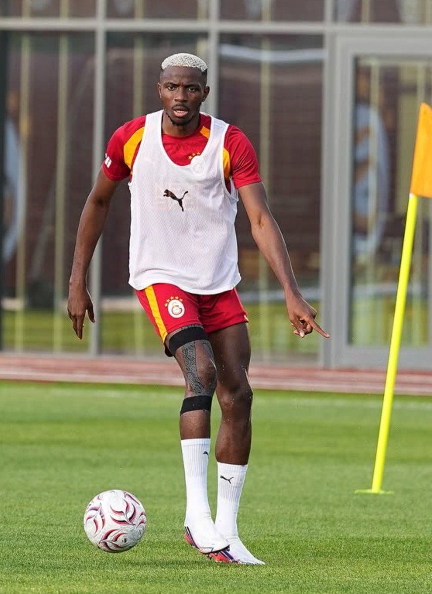 forzacimbom's tweet photo. Victor Osimhen 🦁 https://t.co/IxM7WKmqUC