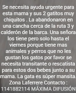 flormfp's tweet photo. Porfis transito para esta mama y sus dos bebés urgente https://t.co/yYQUCm0HzX