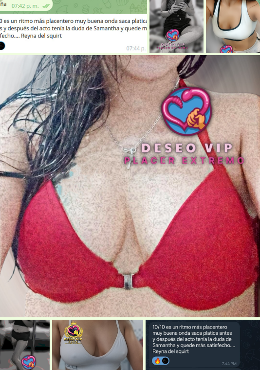 DeseoEliteSLP's tweet photo. ¿Aún no estás en Telegram?🔥
Ahí encontrarás más fotos, información de cada una de las chicas, horarios actualizados, novedades y   contenido exclusivo que no publicamos en otros lugares😈
Únete aquí: https://t.co/EO6VtaJFLX
No te quedes solo con una parte... 💜
#DeseoVIP https://t.co/ZW6QnDDGQc
