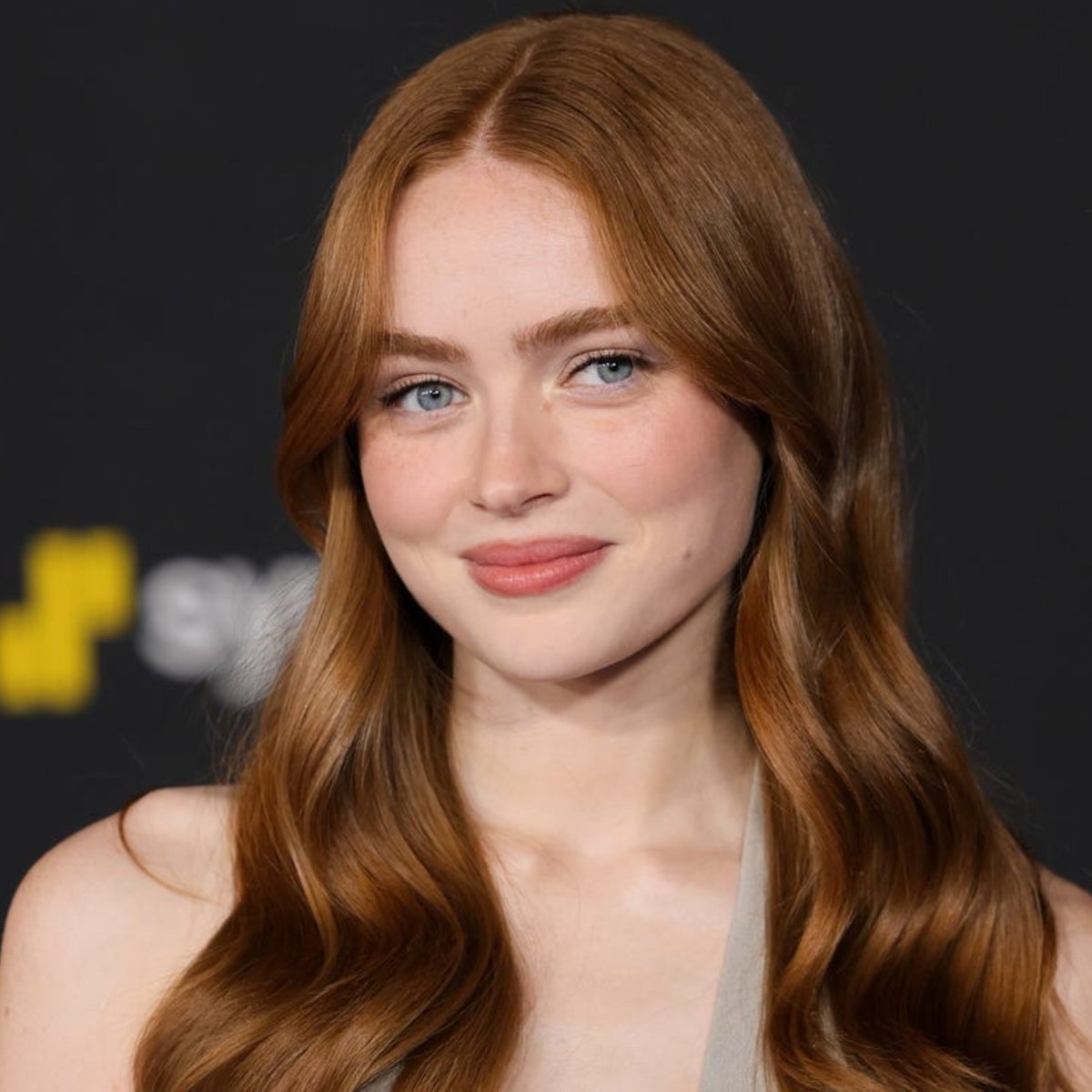 send_celebs's tweet photo. which redhead should i goon to tonight 😵‍💫 
can't pick between sadie sink or mckenna grace https://t.co/dIXoyEDSjX