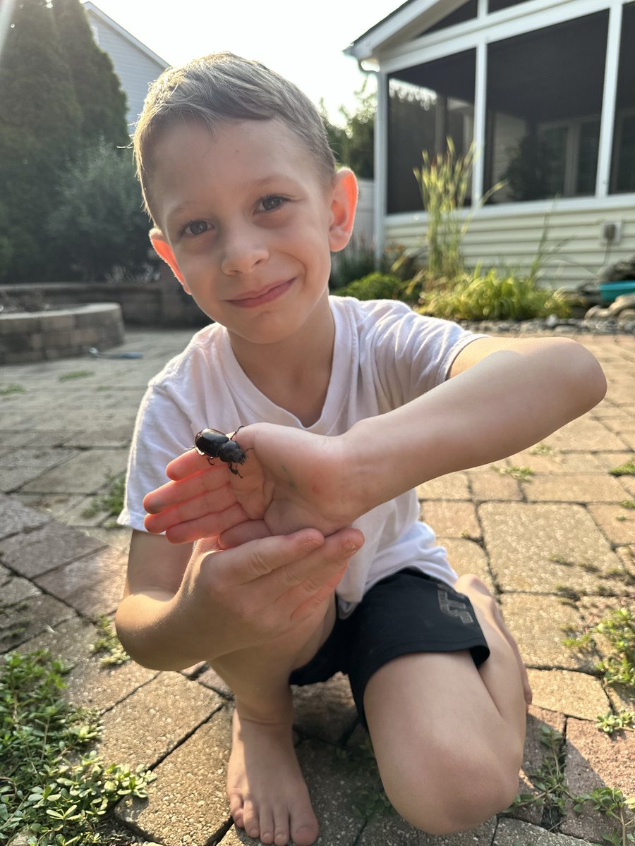 Momstermeg1's tweet photo. @youtooz @GroundedTheGame My little co-op would love these plushies! Peep his love for nature and Pete cosplay! Including his hand painted pebblet spear. 💚 
Or our co-op @erbgames https://t.co/80qsrF0fVp