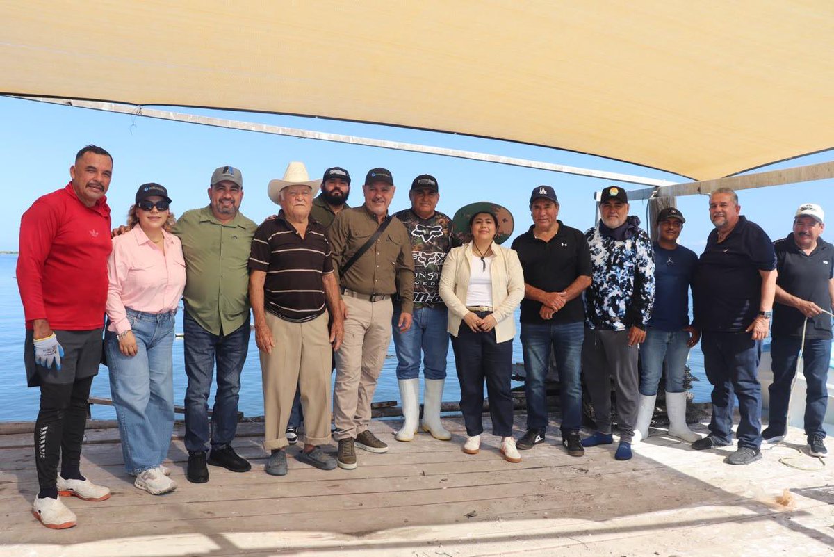 RigoSalgadoV's tweet photo. Cada ostión que llega a tu mesa es el resultado de un proceso cuidadosamente controlado desde su origen.

En Navolato, Sinaloa, recorrimos cultivos de ostión para conocer de cerca el proceso de producción y crecimiento de este importante molusco.

La acuacultura fortalece la seguridad alimentaria, genera empleos y contribuye al bienestar de miles de familias que dependen de esta actividad. En México, seguimos impulsando un sector más productivo y sostenible.