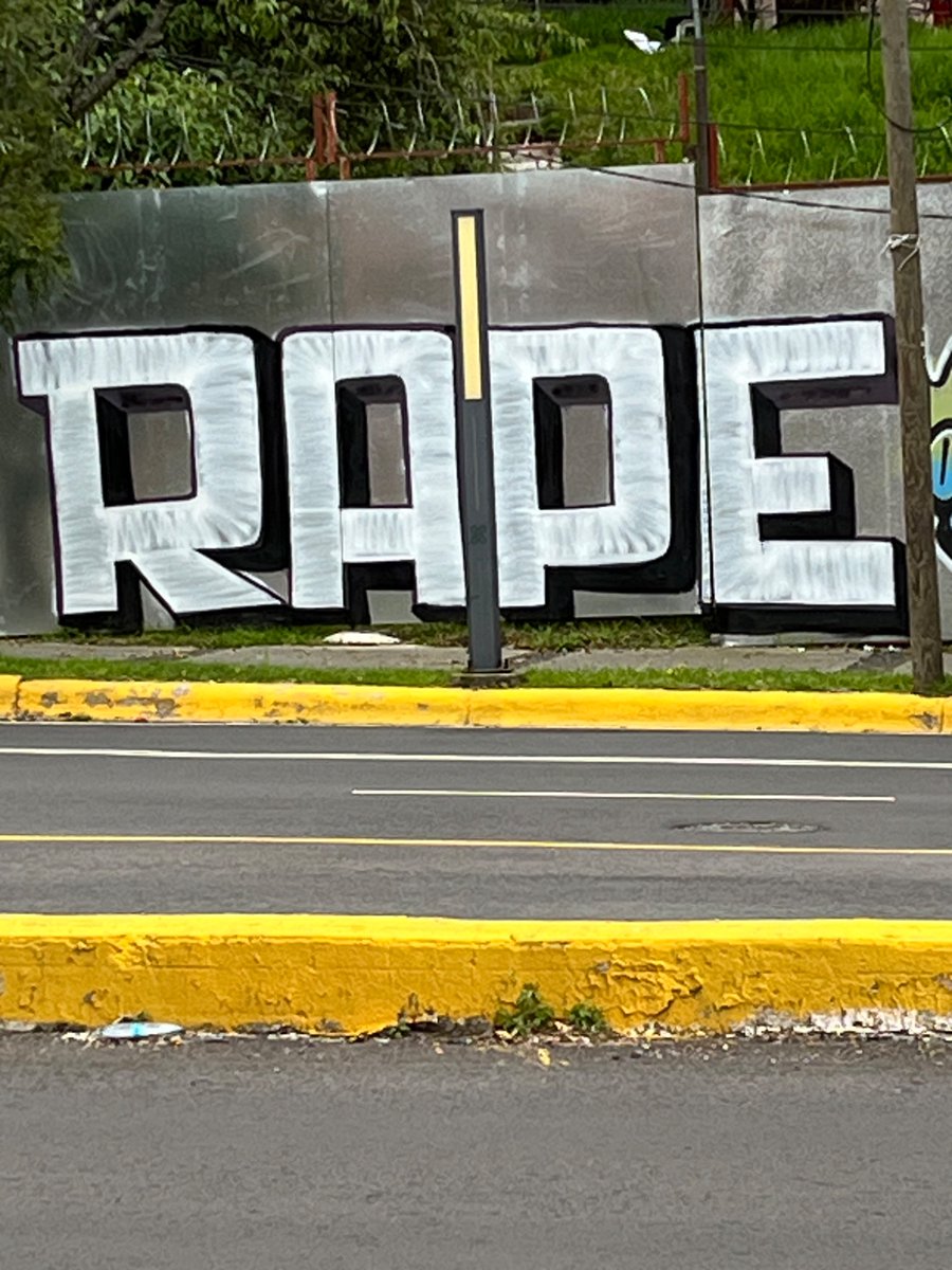 Shroompilledmsc's tweet photo. What’s up with Mexico City dawg https://t.co/pqJ1ytEsOc