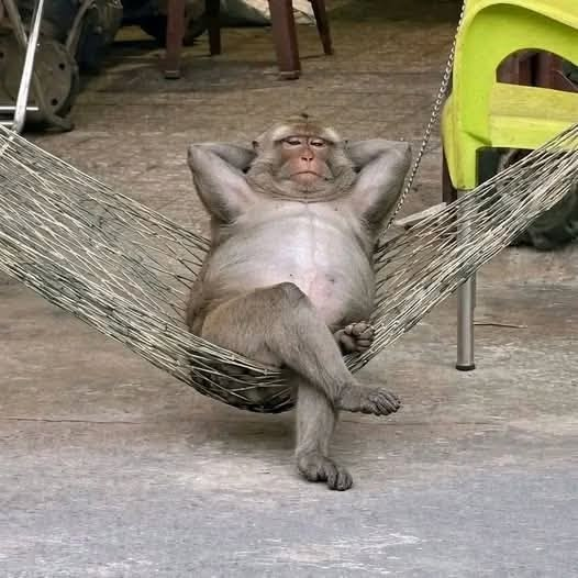 YellowDrmss's tweet photo. Hoy directo cortito de chill 
https://t.co/TcaojiI8De https://t.co/d9BqigqXIj