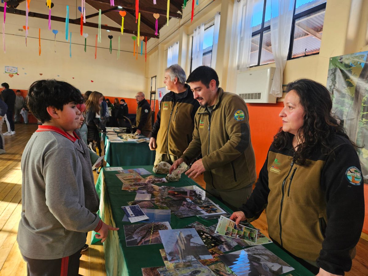 conaf_aysen's tweet photo. ¡Educando para conservar nuestro patrimonio! 🦌 En la Escuela Pedro Quintana Mansilla de Coyhaique conmemoramos el Día Internacional del Huemul. Acción conjunta entre la Seremi de Medio Ambiente, CONAF, SAG y @RewildingChile en el marco de #100Años100Acciones. https://t.co/8Lv9c0qlPJ
