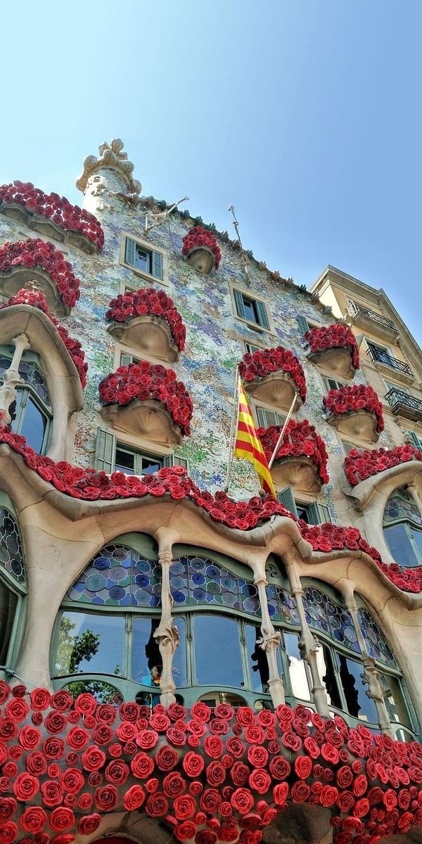 ____flowers__'s tweet photo. Barcelona,spain https://t.co/Ash0eOGPPE