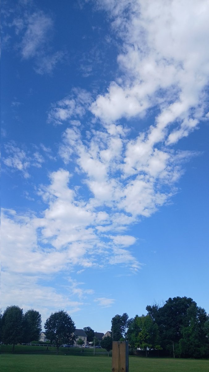 ChatWithDusty's tweet photo. Beauty from my walk https://t.co/bLACmiqZkV